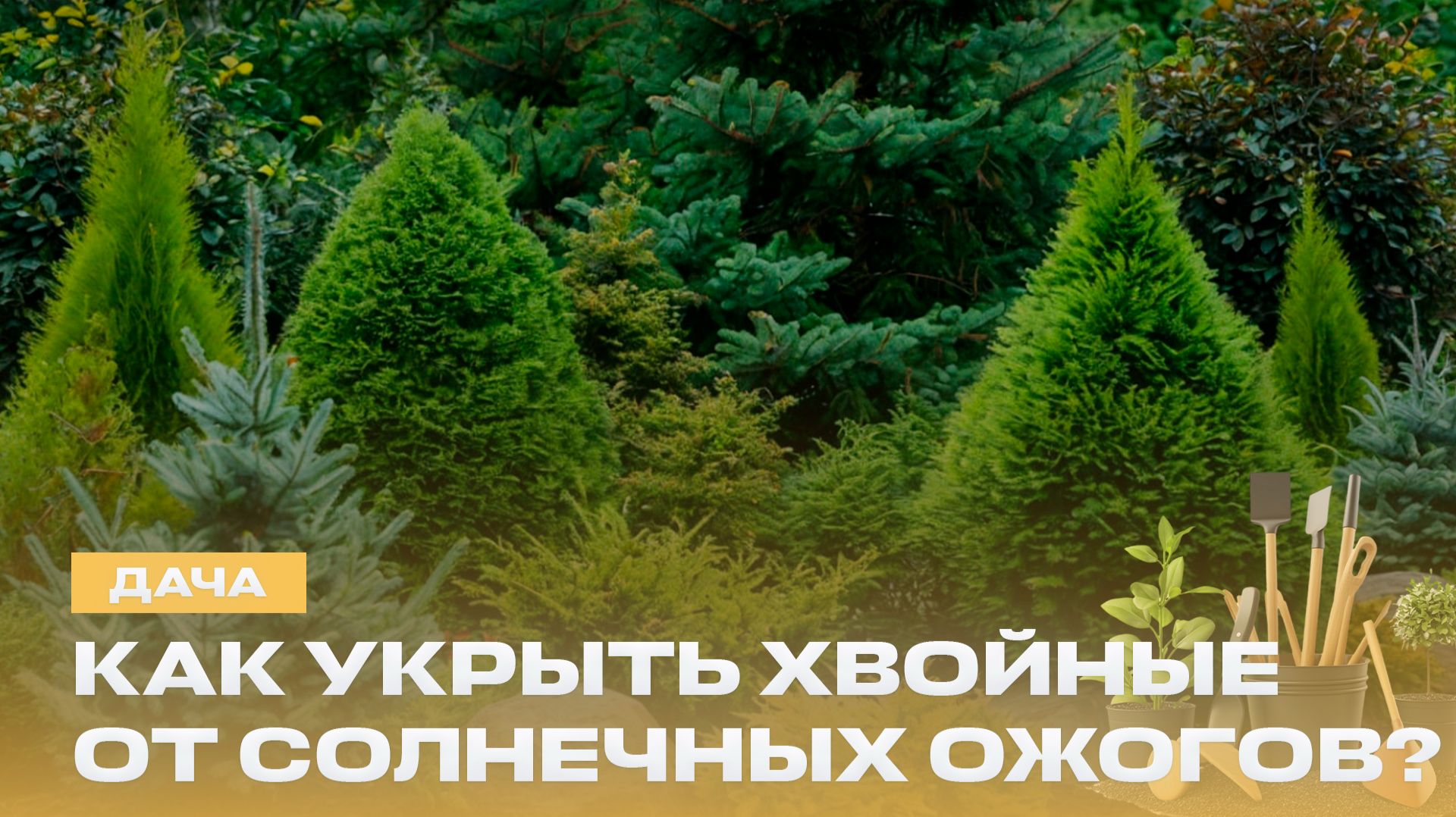 Насколько полезен биогумус? Почему важно обрезать деревья? Лунный календарь | 