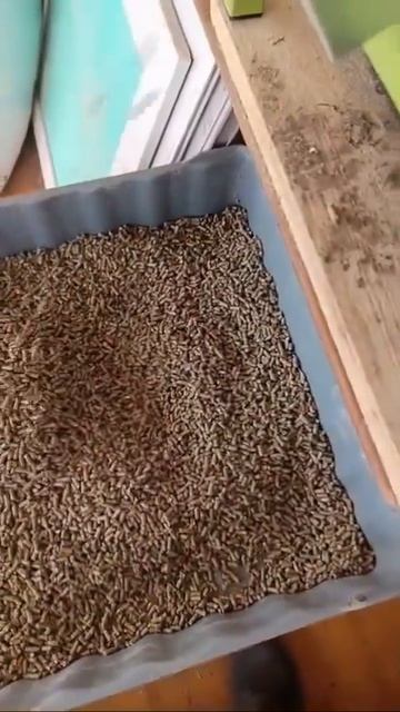 Видео от заказчика из г.Иваново.Гранулятор Компакт 100.