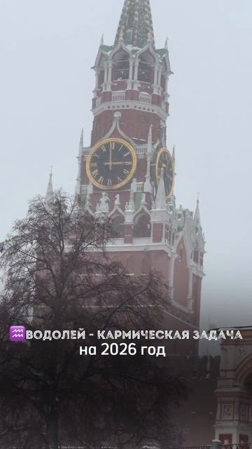 Водолей - кармическая задача 2026
