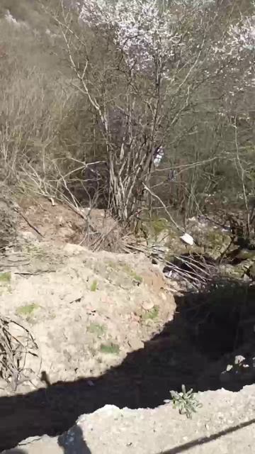 Ополозни в Табасаранском районе, в Дагестане после дождя во многих местах были ополозни