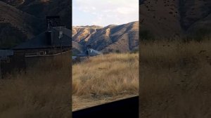 Влог с Армении, Ереван, лето 2025