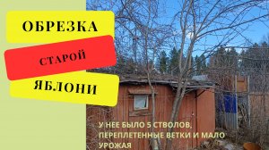 Весенняя ОБРЕЗКА старой запущенной яблони