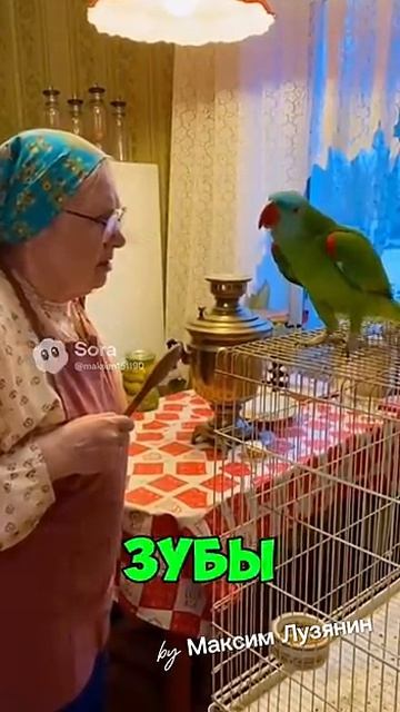 Попугай ругается.