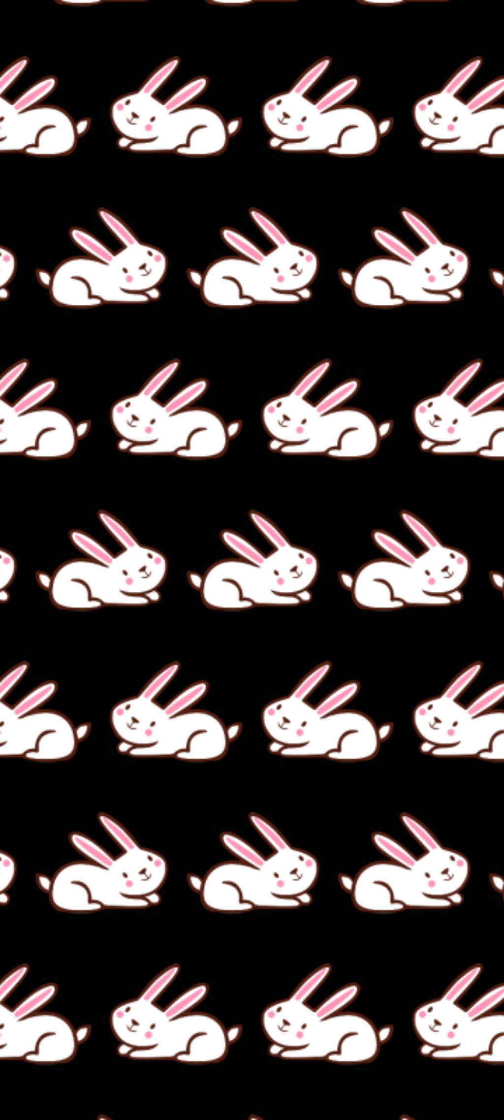 когда видео