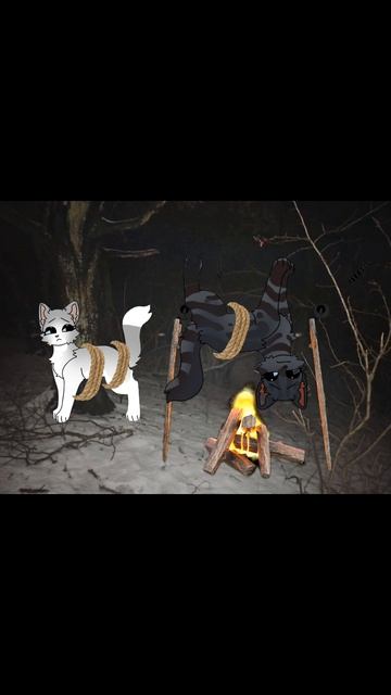 НЕТ НА МОЮ КОМПАШКУ НАПАЛА СЬЮ! СПАСИТЕ! ДЕЛАЙТЕ РЕАКЦИИ!