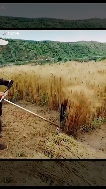 26 июля 2020 г.