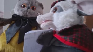 КОТ БАСИК. Сундук сокровищ.