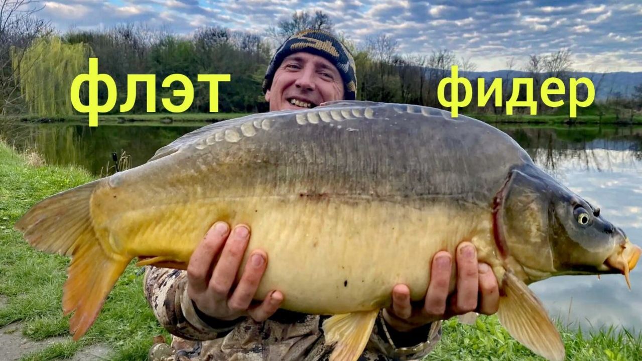 ТРИ ТРОФЕЯ ЗА НОЧЬ!! ФЛЭТ ФИДЕР ПОД НОГАМИ # рыбалка #флэтфидер #фидер #карп #рыбалканаозере