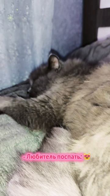 😻😻😻😻😻😻😻😻😻