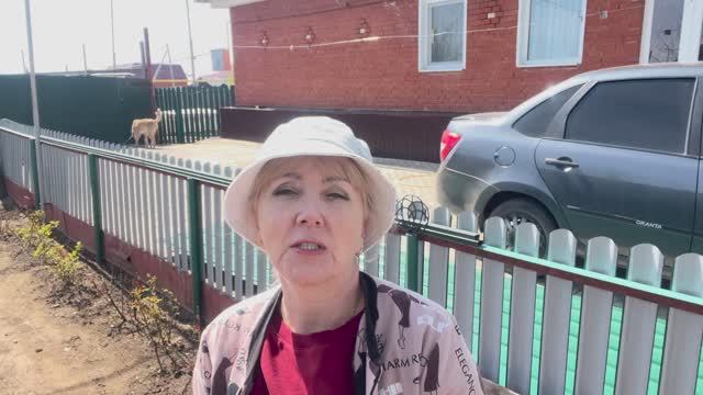 Купили рыбу/🐟/ с розами порядок навела// огурцы высадила в теплицу//