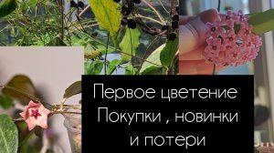 первое цветение// покупки новинки и потери