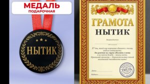 Я НЫТИК И Я ГОРЖУСЬ ЭТИМ.