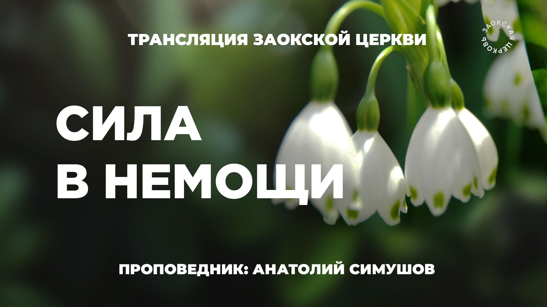 Богослужение онлайн 18.04.2026 | Трансляция Заокской церкви