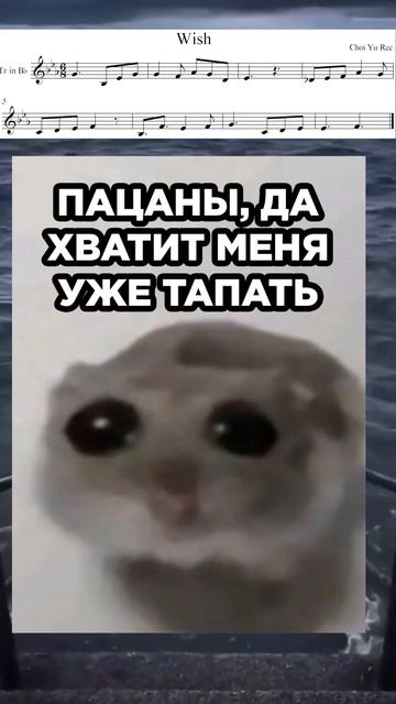 мем с морем на трубе