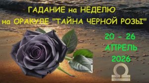 ВЕСЫ: ГАДАНИЕ на НЕДЕЛЮ с 20 по 26 АПРЕЛЯ 2026 года на Оракуле "ТАЙНА ЧЕРНОЙ РОЗЫ"!!!