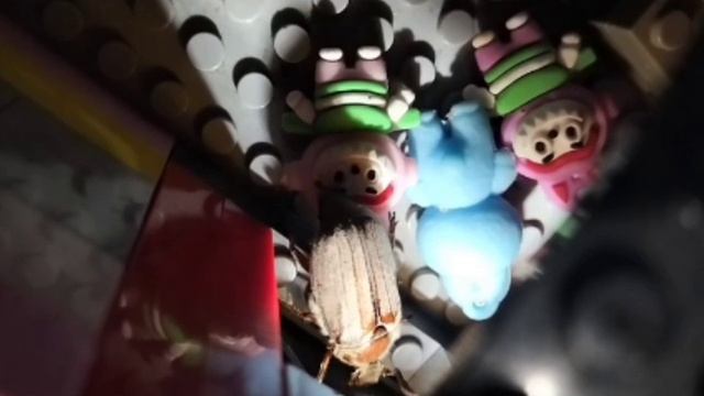 жук-обобус 1 серия дом жука