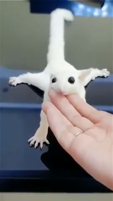 Мама и Забота.❤️❤️❤️