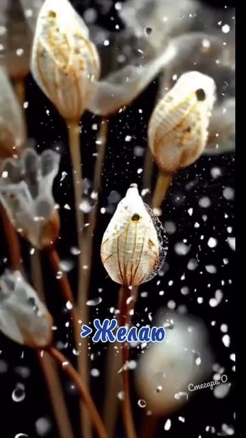 Вечер добрый