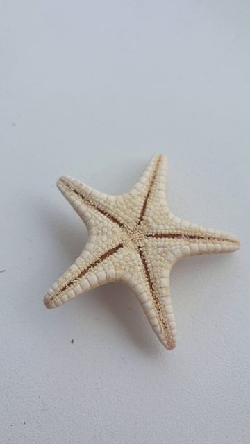 20260418_Алсу_Всё равно.mp4