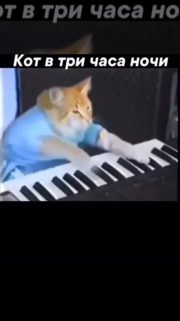 Кот играющий на пианино. Что может быть смешнее 😆😆😆 #котики #Andrey3killer #смех #shorts