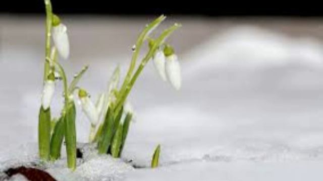 19 апреля - Евтихий Тихий да Ерема Пролетный. Традиции и приметы