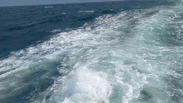 СБ Восток. Татарский пролив.