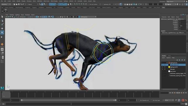 1. Introduction (FREE)