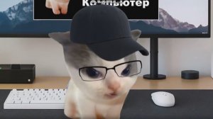 вилли что ты зделал