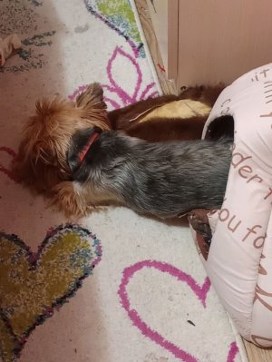 Ааааааааааа привет опять