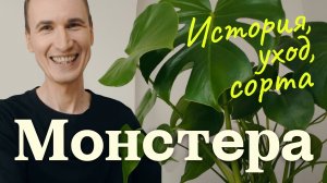 МОНСТЕРА ДЕЛИКАТЕСНАЯ | Большой выпуск: история, разновидности, уход и размножение.