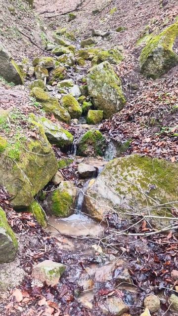 There are only mountains higher than mountains #ambient #animation #birdsong #asmr