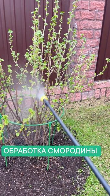 Clip by @lenkaslopatoy