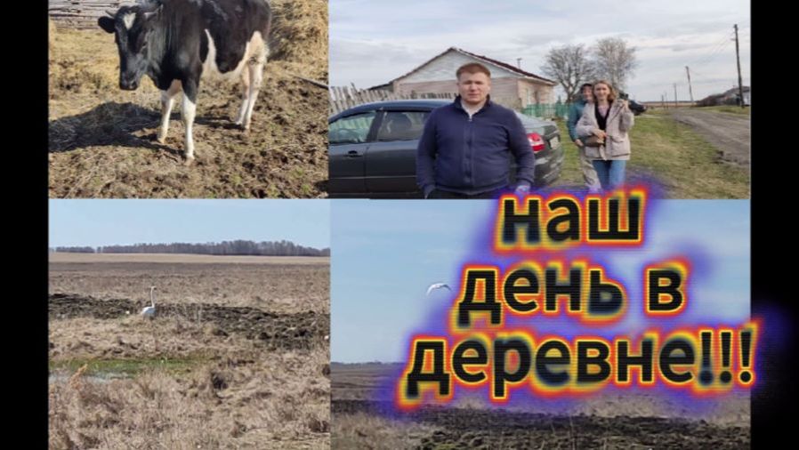 ВЛОГ/ДЕРЕВНЯ/ПРИЛЕТЕЛ ЛЕБЕДЬ/ЕДЕМ В МАГАЗИН/ПРИЕХАЛИ ГОСТИ/