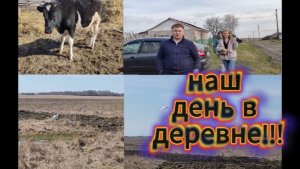 ВЛОГ/ДЕРЕВНЯ/ПРИЛЕТЕЛ ЛЕБЕДЬ/ЕДЕМ В МАГАЗИН/ПРИЕХАЛИ ГОСТИ/