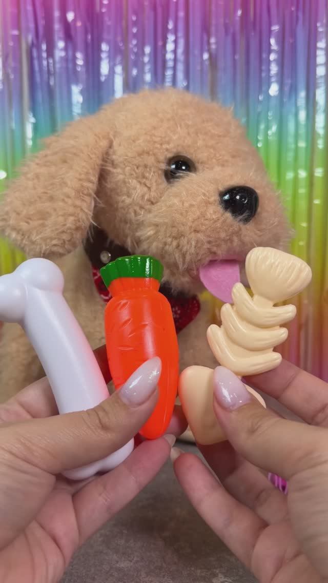 Нашли друга для нашей кошечки😼