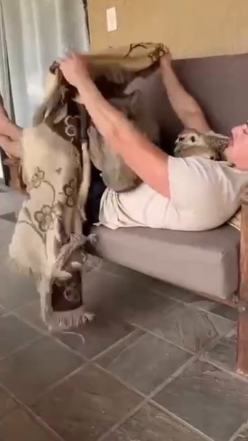 VID_20260417_192729_675.mp4