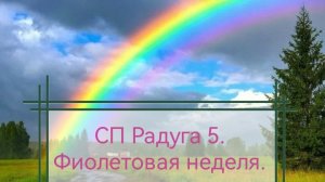 СП Радуга 5. Фиолетовая неделя. Участник 15.