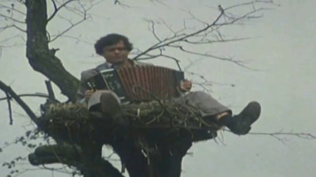 ВЫСОЦКИЙ ЧАСТУШКИ