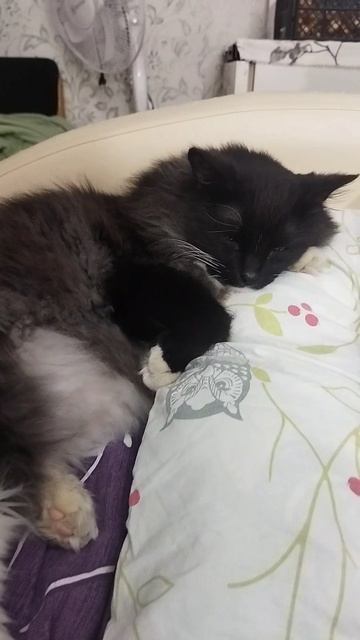 мишка 😻😻😻друг 👭👬👫