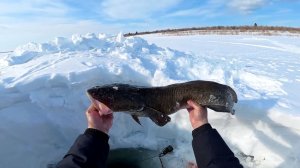 Рыбалка у чëрной дыры. Ловля налима. Шестидесятая серия.