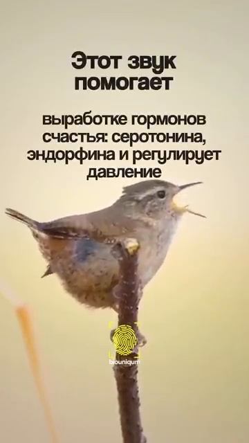 VID_20260417_235918_358