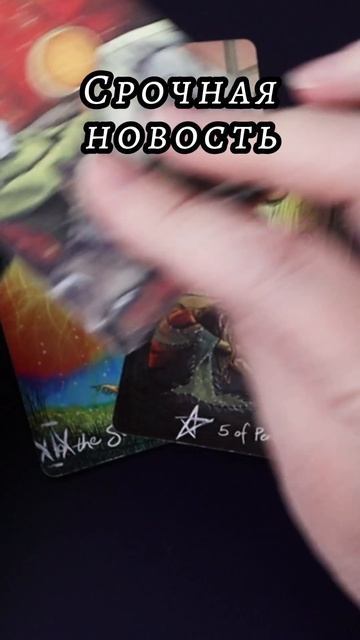 Срочная новость. Таро