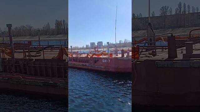 1000015537.mp4Волга.18.04.2026г.