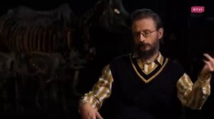 Загадки эволюции: вымирания, древние предки и происхождение человека. Дробышевский