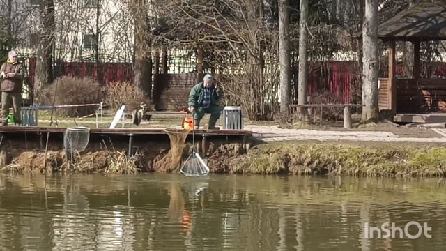 Клюёт форелька