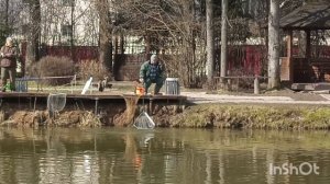 Клюёт форелька