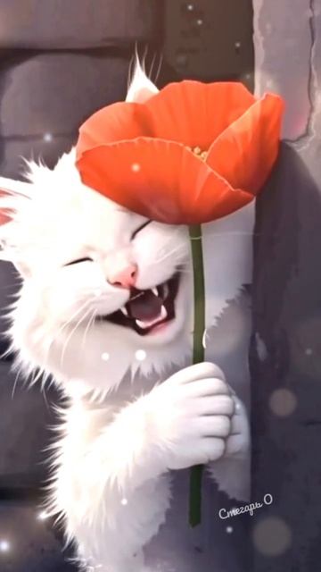 Доброе утро