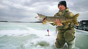 Попали на жор щуки. Лёд тает, снега нет. Рыбалка на севере. Финал сезона.