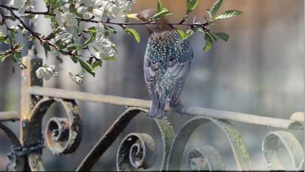 21 апреля радоница. Просите в этот день у умерших родственников помощи или совета.