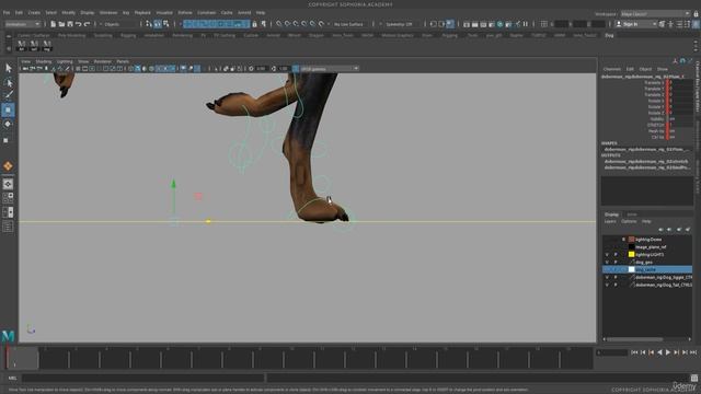 6. Final Polish of the Dog Run Cycle